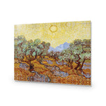 Van Gogh - Olive Trees
