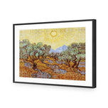 Van Gogh - Olive Trees