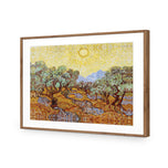 Van Gogh - Olive Trees