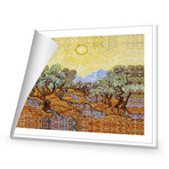 Van Gogh - Olive Trees