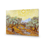 Van Gogh - Olive Trees