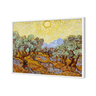 Van Gogh - Olive Trees
