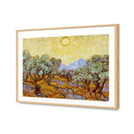 Van Gogh - Olive Trees