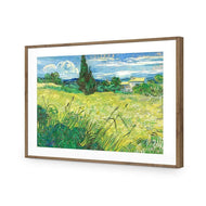 Green Field By Van Gogh