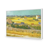 Harvest By Van Gogh