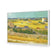 Harvest By Van Gogh