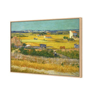 Harvest By Van Gogh