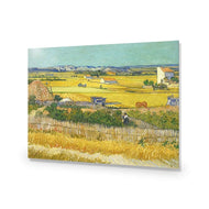 Harvest By Van Gogh