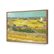 Harvest By Van Gogh