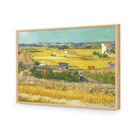 Harvest By Van Gogh