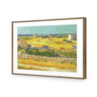 Harvest By Van Gogh