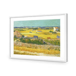 Harvest By Van Gogh