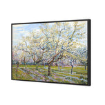 Van Gogh - The White Orchard