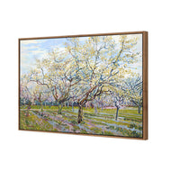 Van Gogh - The White Orchard