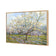 Van Gogh - The White Orchard