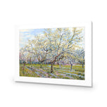 Van Gogh - The White Orchard