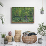 Floor Stock-Van Gogh - Trees and undergrowth