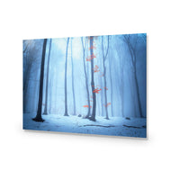Blue Forest