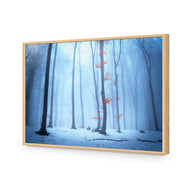Blue Forest