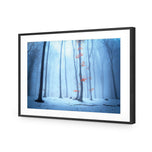 Blue Forest