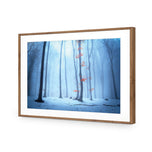 Blue Forest