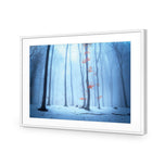 Blue Forest