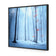 Blue Forest