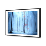 Blue Forest