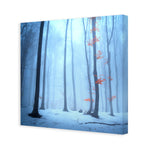 Blue Forest