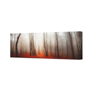 Forest of Fire