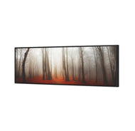 Forest of Fire