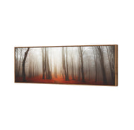 Forest of Fire