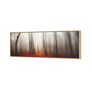 Forest of Fire