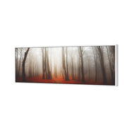 Forest of Fire