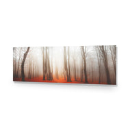Forest of Fire