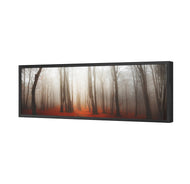 Forest of Fire