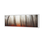 Forest of Fire