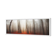Forest of Fire