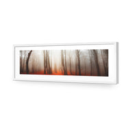 Forest of Fire
