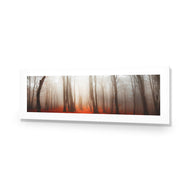 Forest of Fire