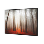 Forest of Fire