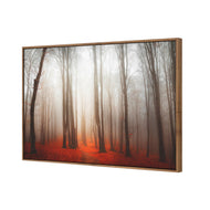 Forest of Fire