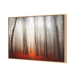 Forest of Fire