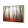 Forest of Fire