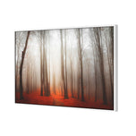 Forest of Fire