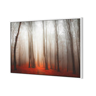 Forest of Fire