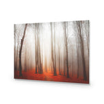Forest of Fire