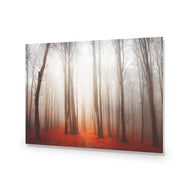 Forest of Fire