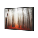 Forest of Fire