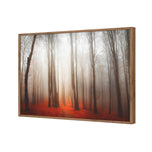 Forest of Fire